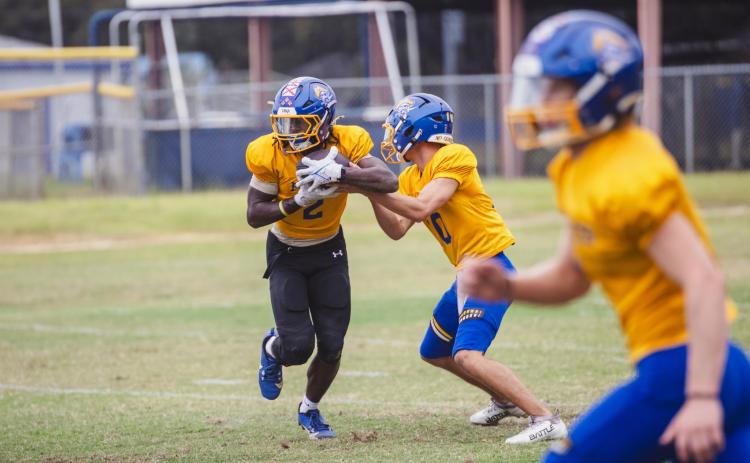 FBHS football in a preseason practice. Photo by Nick Blank/News-Leader