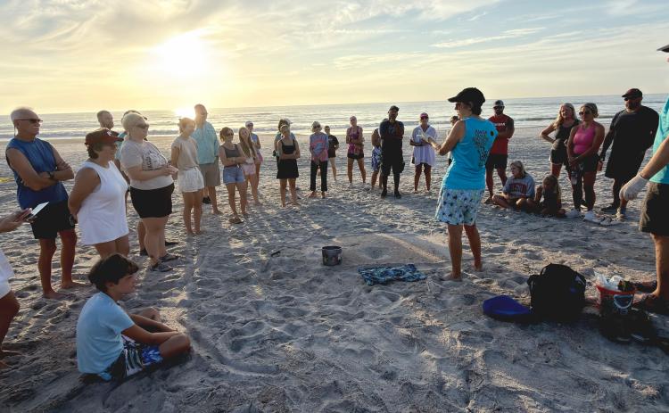 Amelia Island Sea Turtle Watch leads a nest excavation earlier this year. Submitted photo