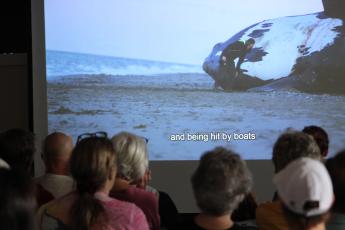 Audience members watch ‘Last of the Right Whales,’ a documentary featuring efforts being made to conserve North Atlantic right whales. Photo by Holly Dorman.