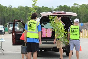 Volunteers with Keep Nassau Beautiful load trees into the trunk of a Nassau County resident’s car to go to a new home. Photo by Holly Dorman/News-Leader.