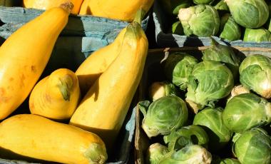 Squash and sprouts from Kings Kountry Produce, a weekly farm that comes to Fernandina from Starke each Saturday. 
