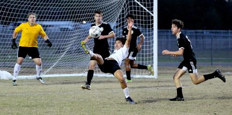 Hornets captured their first playoff victory. Photo by Beth Jones/News-Leader