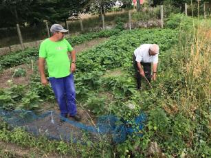 AGG members tending the gardens.  Submitted photo