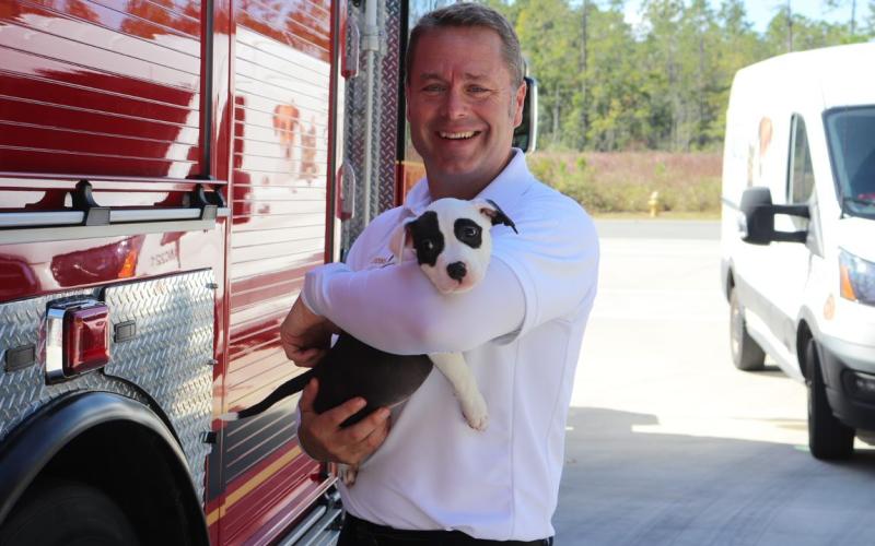 Puppies and kittens are getting out and about during visits to county departments, beginning with Fire and Emergency Operations. A pet was adopted on each trip.