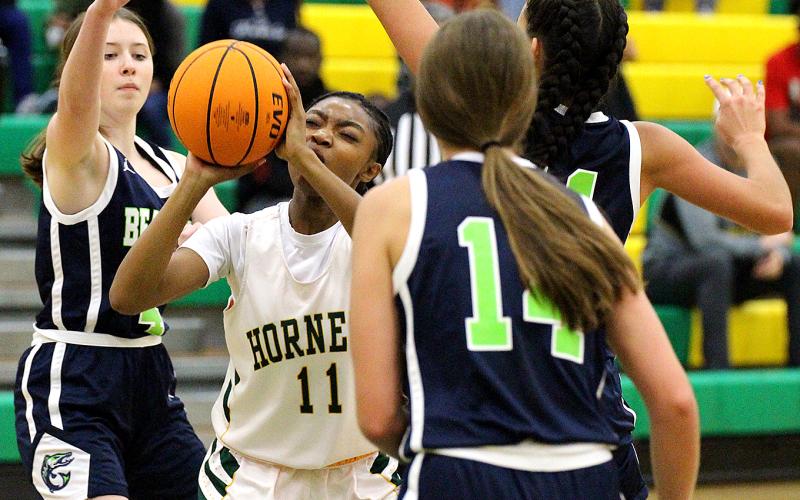 Season tip-off for Lady Hornets