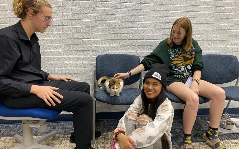 Nassau County Public Library hosted another Cat Café in conjunction with Nassau County Animal Services last weekend to coincide with Dickens on Centre.