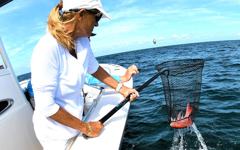 Large landing nets are a must when targeting a variety of offshore bottom species, including red snapper. Pam Cook showcases her landing skills. Photo by Terry Lacoss 