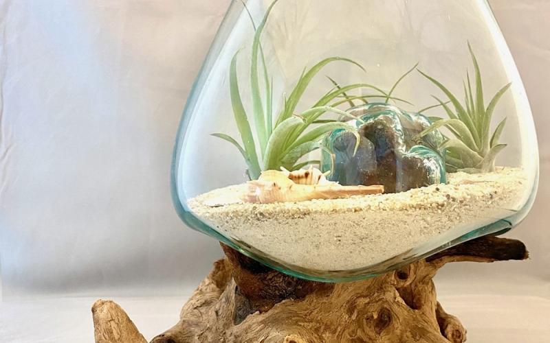 Terrariums like these are available every Saturday at the farmers market by Sea Shore Terrariums. Submitted photo