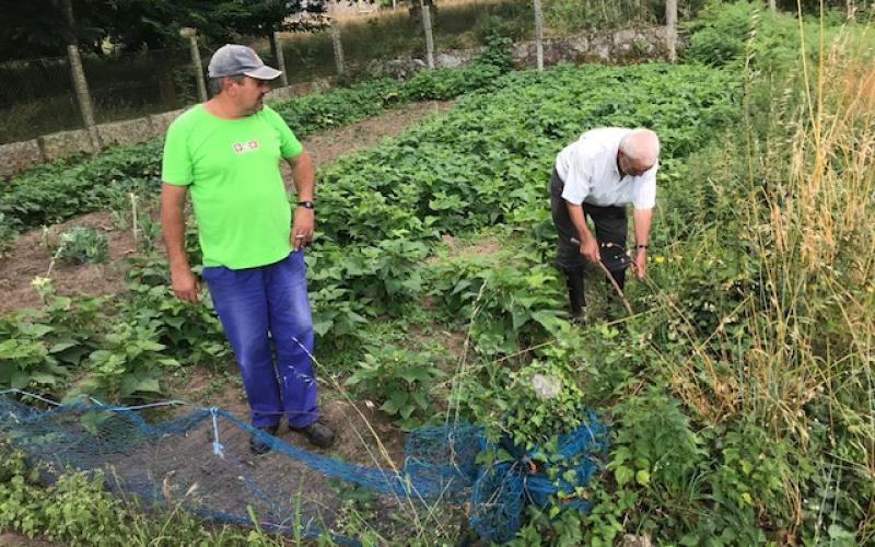 AGG members tending the gardens.  Submitted photo