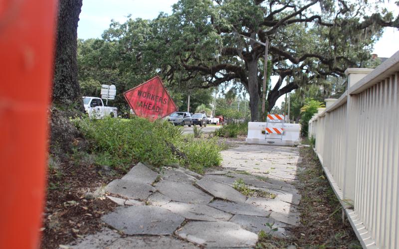 A tree at the corner of Eighth Street and Atlantic Avenue has roots that are growing up under the sidewalk, causing a hazard to pedestrians. Photo by Julia Roberts/News-Leader