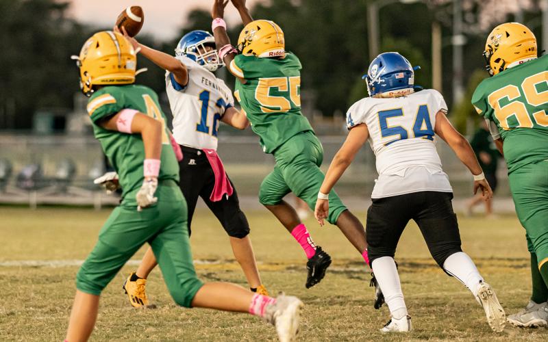 YMS Hornets 46, FBMS Pirates 20. Photo by Penny Glackin/Special
