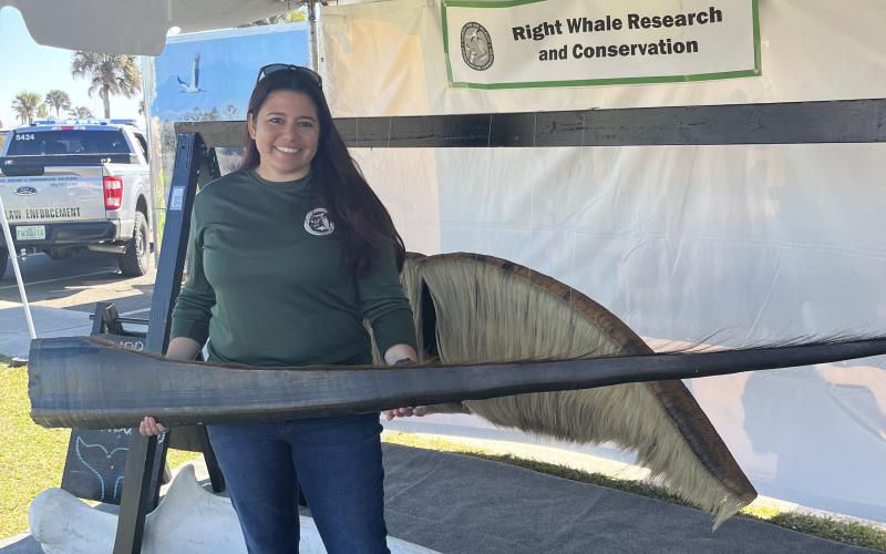 Ana Nader, Florida Fish and Wildlife Conservation Commission Marine Mammal Scientist, holding a right whale baleen, behind her a gray whale baleen, on the floor a whale mandible. Photo by Sean Rosenthal/News-Leader