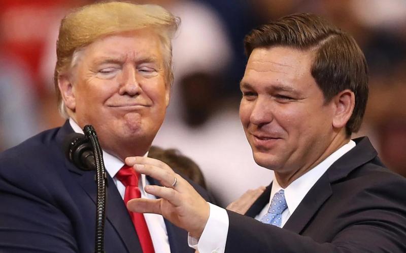 Then-President Donald Trump with Gov. Ron DeSantis in 2019.  Joe Raedle/Getty Images