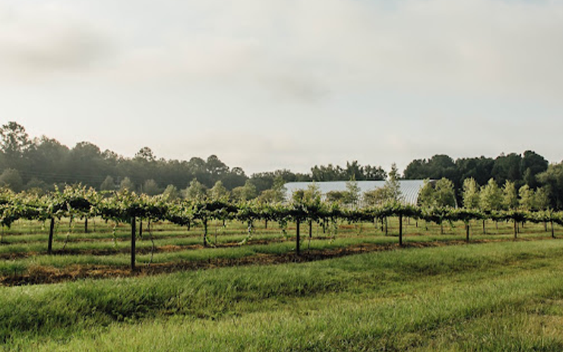 Congaree & Penn is a Florida farm and restaurant dedicated to agriculture & culinary endeavors, and gathering the community to enjoy both. Photo by Pam Bushnell/News-Leader